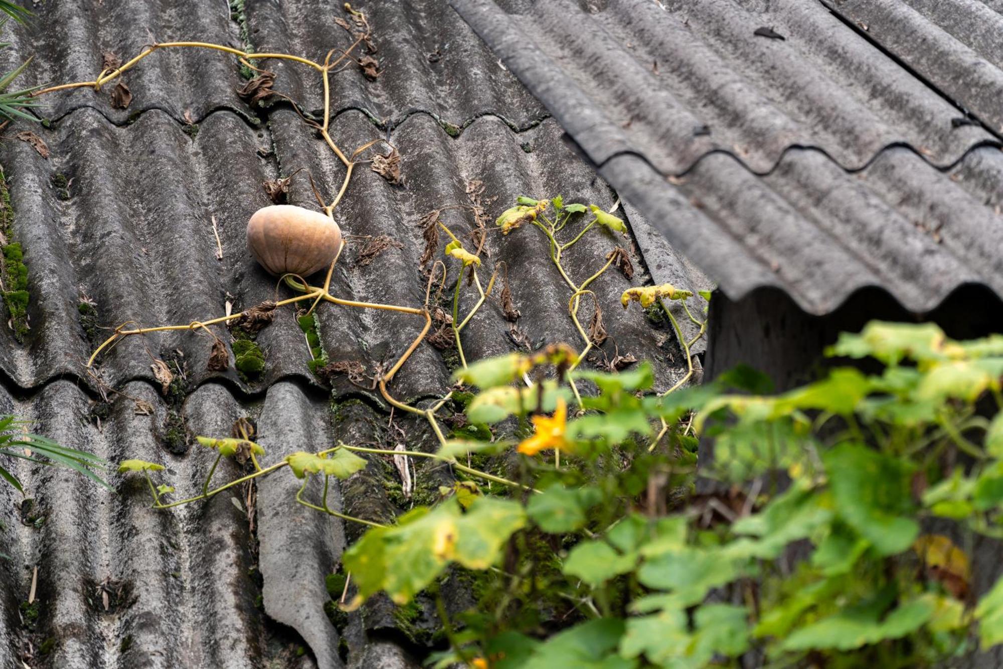 Ferienwohnung De Yang House Sapa Exterior foto